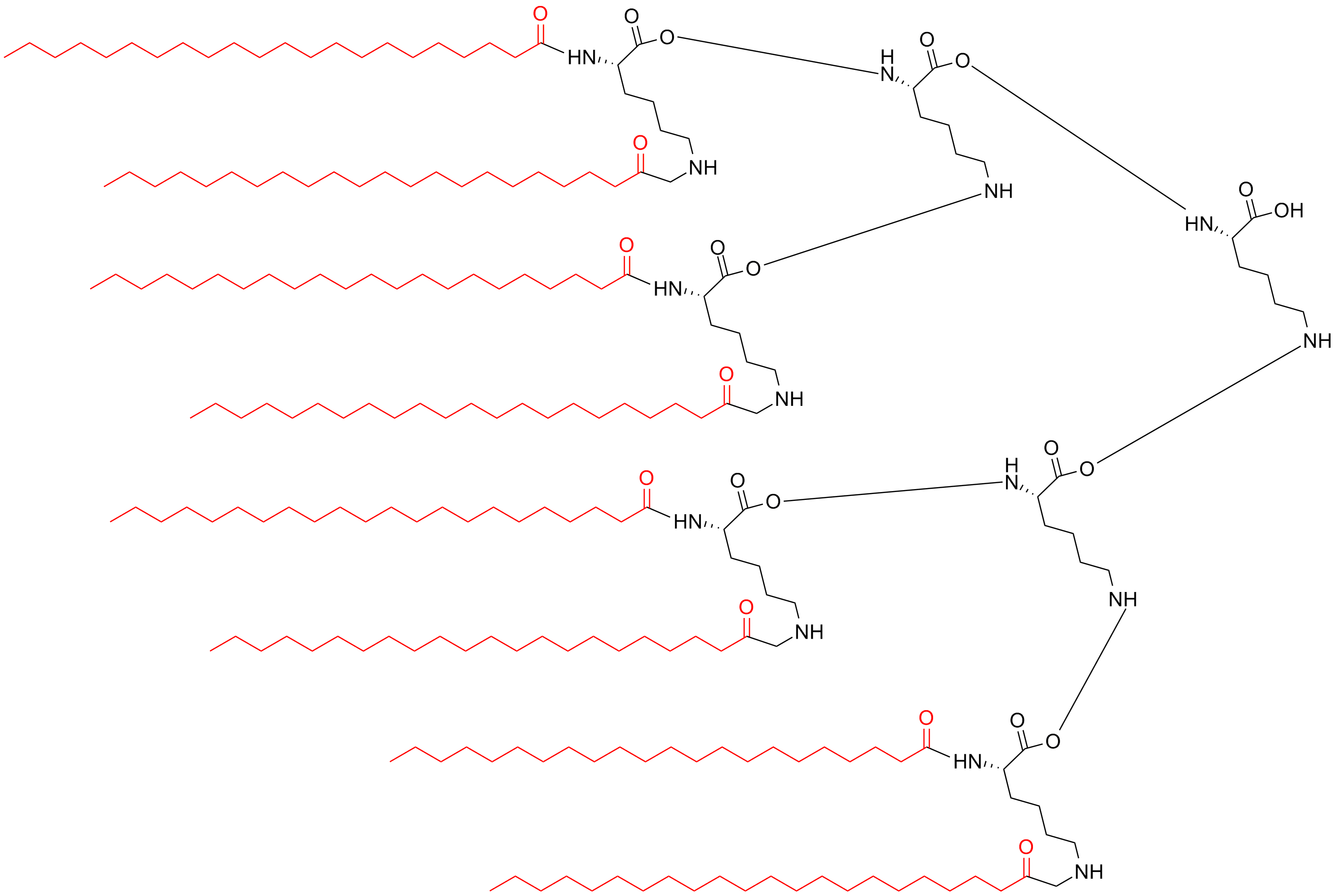 八分支多聚抗原肽(专肽生物www.allpeptide.com)