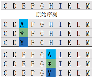 位置扫描肽库计算器(专肽生物www.allpeptide.com)