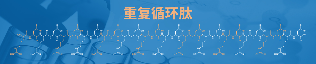 重复循环肽合成
