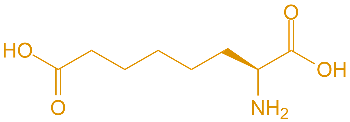 Asu(专肽生物www.allpeptide.com)
