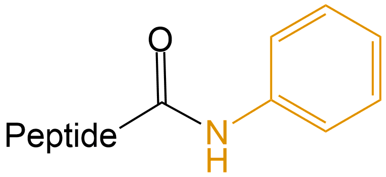 苯胺修饰(专肽生物www.allpeptide.com)