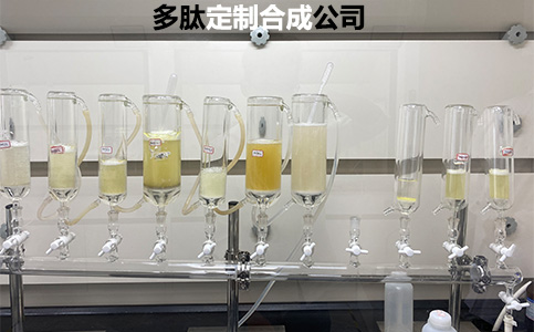 多肽合成中的常见问题