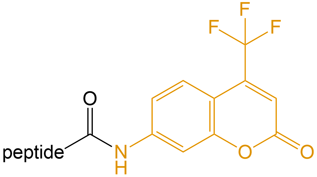 香豆素修饰(专肽生物www.allpeptide.com)