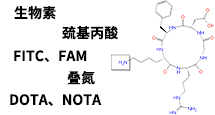 RGD环肽修饰服务