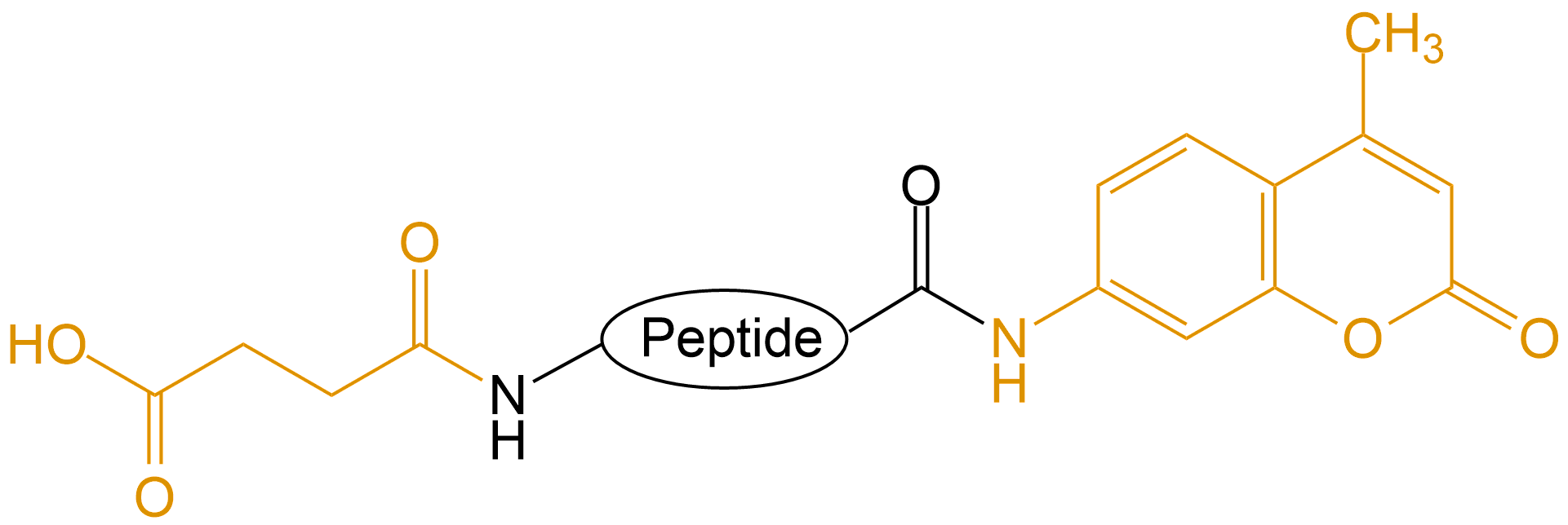 Suc和AMC双标记(专肽生物www.allpeptide.com)