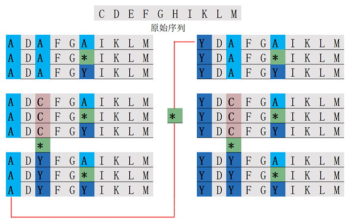 位置扫描肽库计算器(专肽生物www.allpeptide.com)