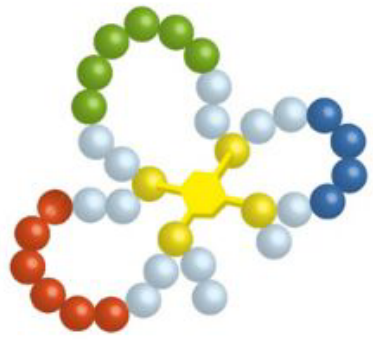 酰胺键环状多肽(专肽生物www.allpeptide.com)