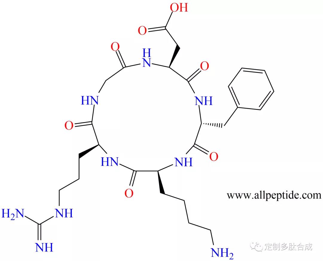 RGD环肽
