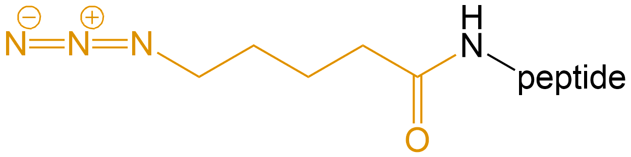 多肽叠氮修饰(专肽生物www.allpeptide.com)
