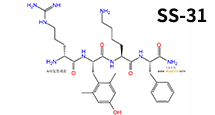 线粒体靶向抗氧化剂SS-31