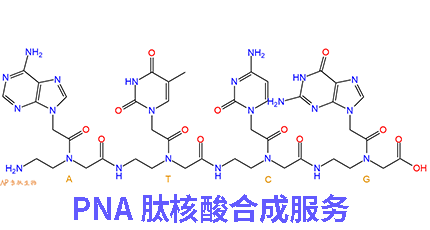 肽核酸合成服务