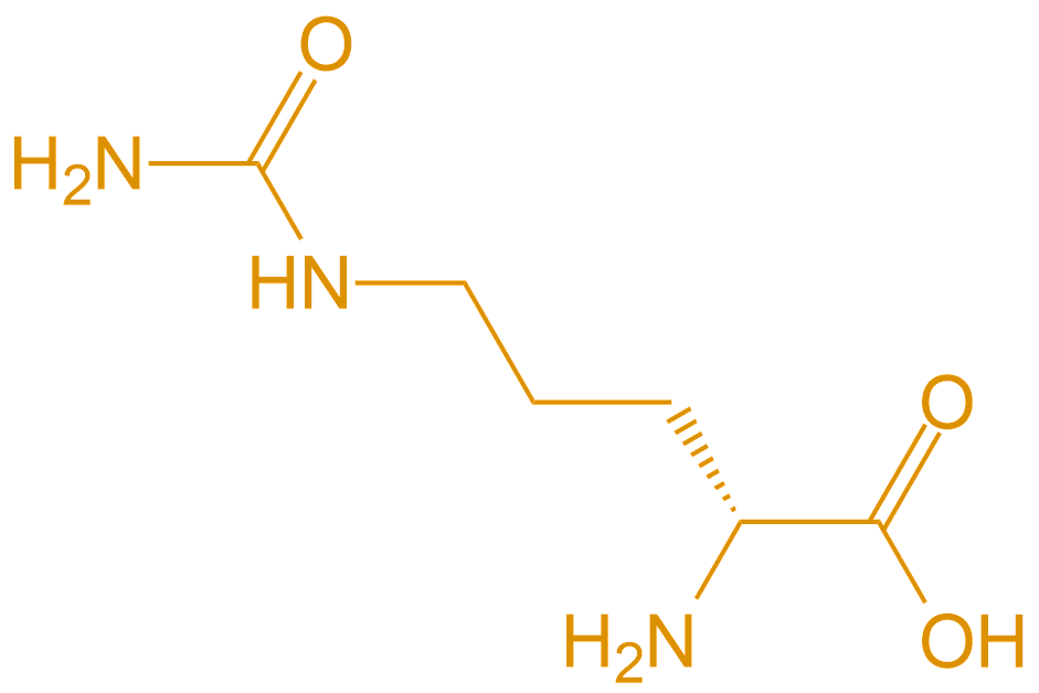 D型胍氨酸Cit(专肽生物www.allpeptide.com)