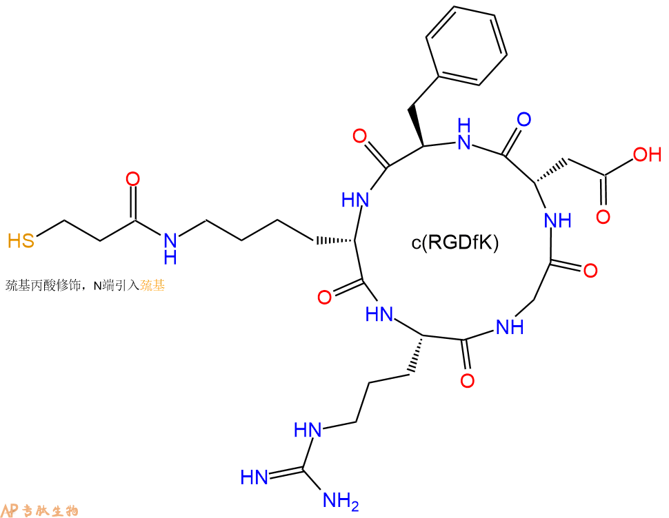专肽生物产品c(RGD)环肽：cyclo{RGDfK(Mpa)}、环状多肽c(RGDfK)-巯基、Mpa-c(RGDfK)、c(RGDfK)-SH