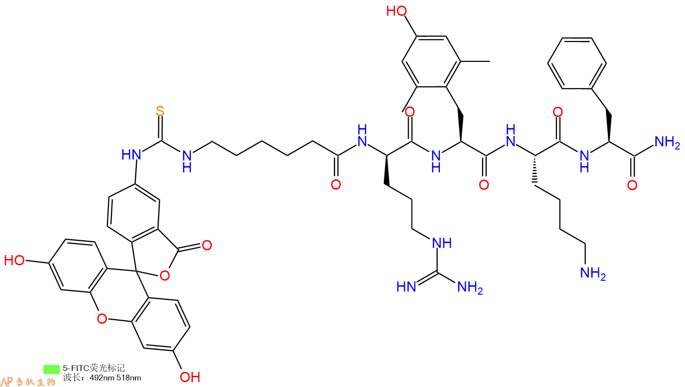 专肽生物产品FITC标记线粒体靶向抗氧化剂FITC-SS-31