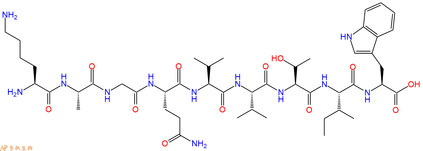 专肽生物产品Lamin片段（核纤层蛋白片段） Lamin fragment
