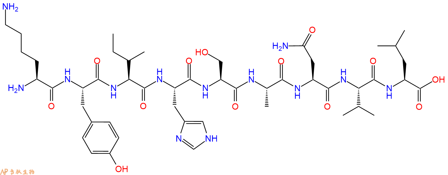 专肽生物产品MAP激酶片段：MAP kinase fragment [Multiple species]